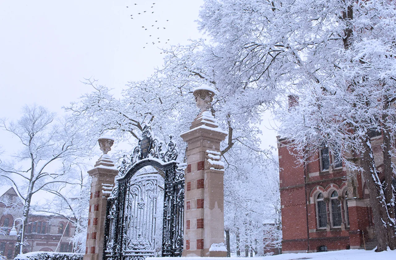 Winter shot of the Grecourt Gates