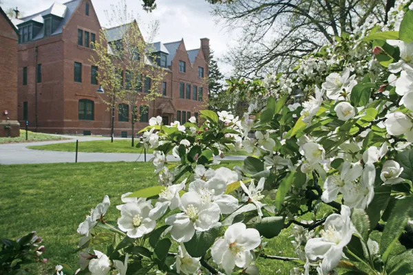 building and flowers