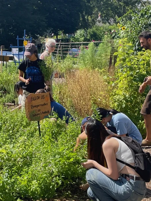 Students standing in a flower garden.