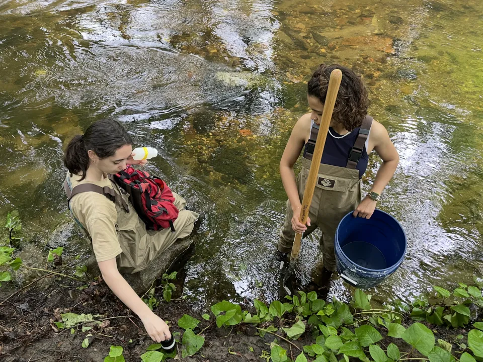 Two students collect samples in the Mill River